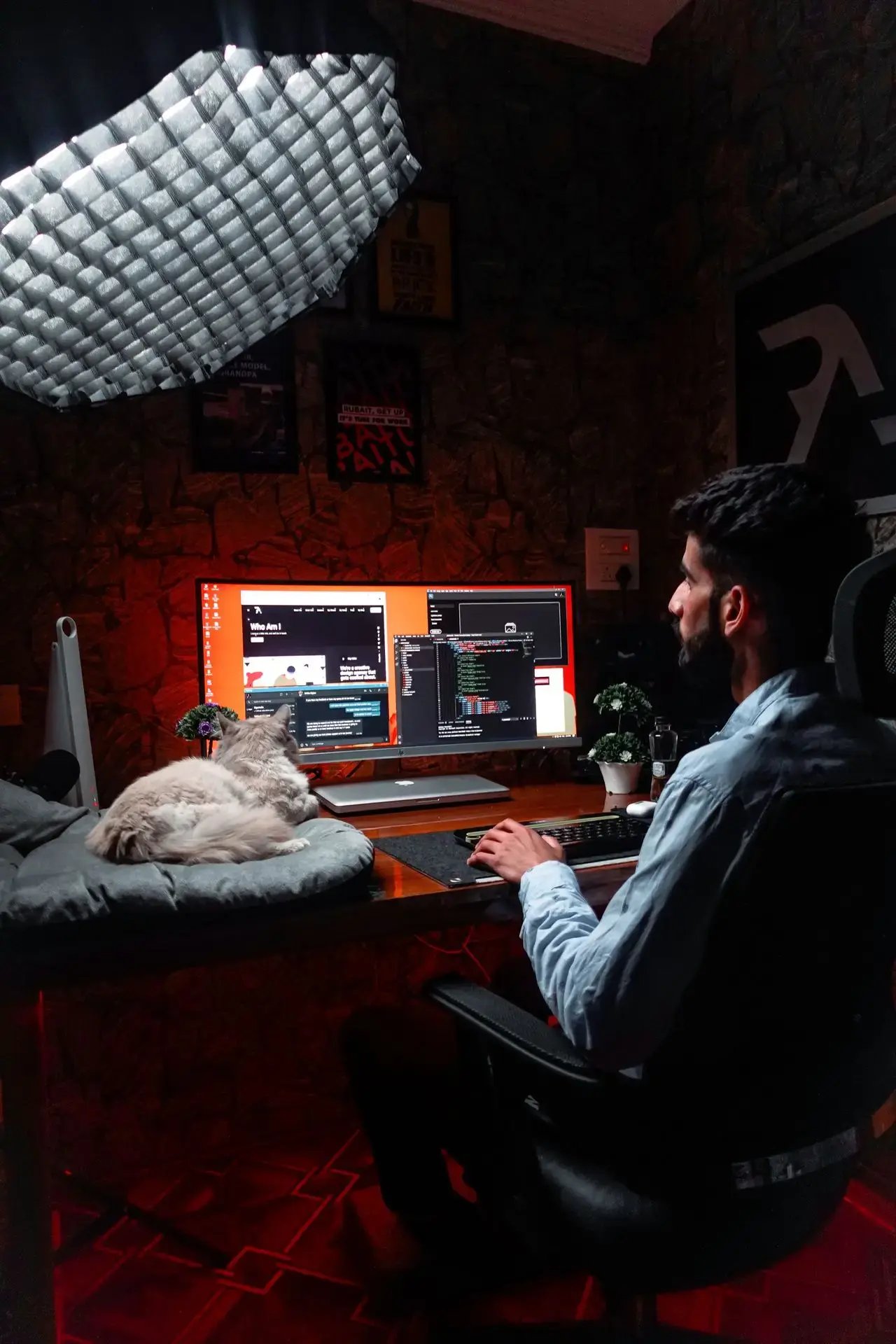 Un homme code accompagné de son chat